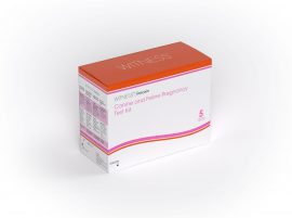Packaging 3D rendering